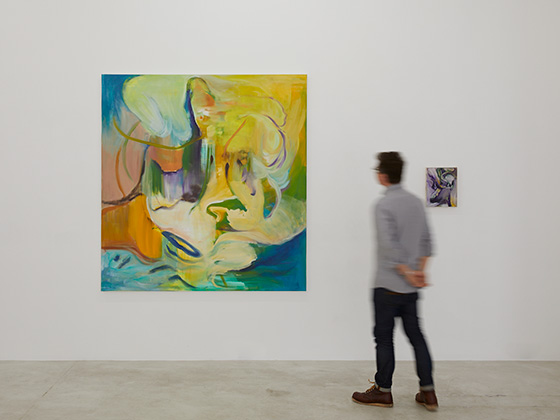 Installation view at Trish Clark Gallery 2019